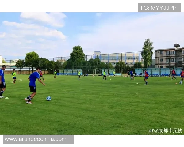 四川足球青训的崛起与发展探索培养未来足球人才的新路径