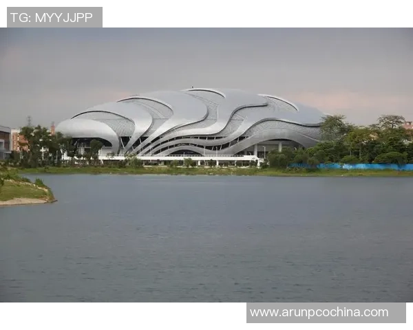 广州极限运动队的表现分析与控制策略的得失探讨