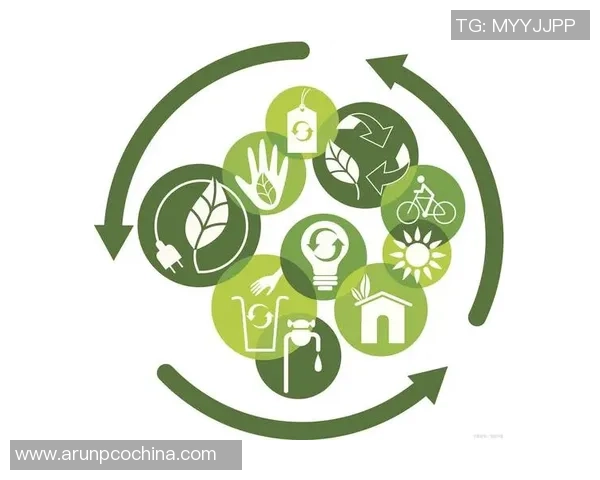 木材与足球的奇妙结合探讨运动器材的环保与可持续发展之路